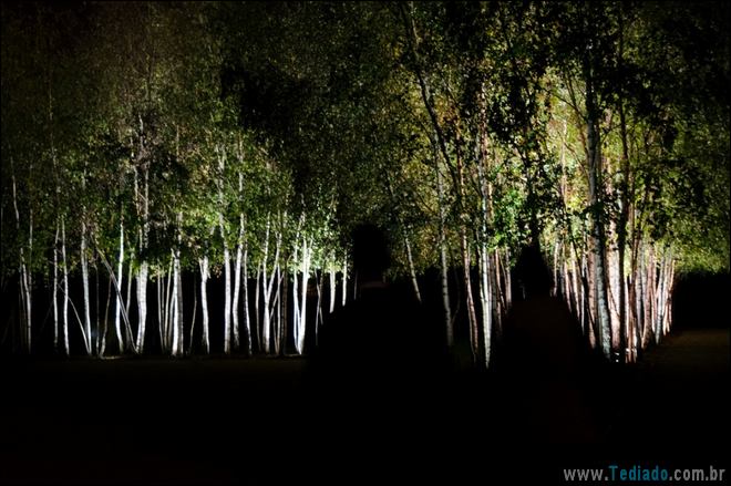 23 fotos incomuns que você terá que olhar duas vezes 8