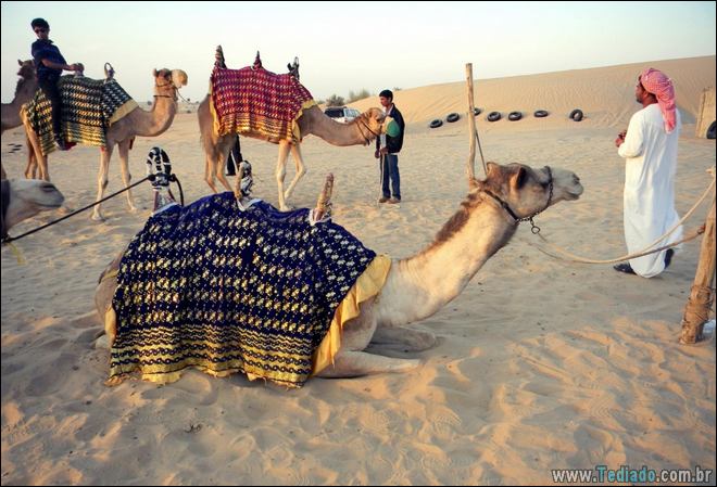 23 fotos incomuns que você terá que olhar duas vezes 14