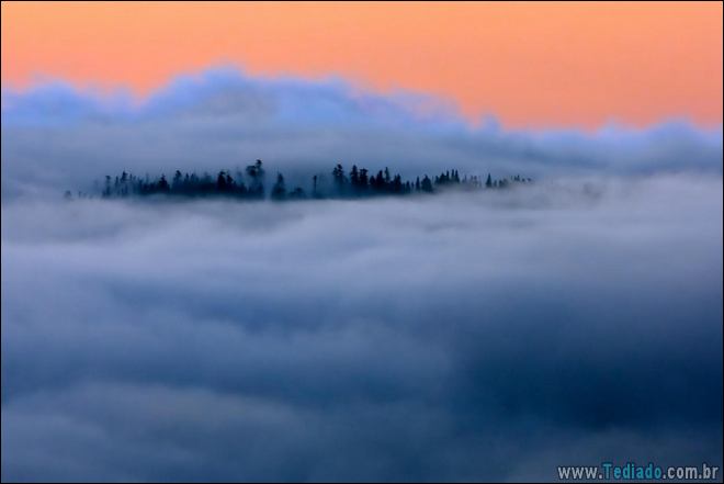 23 fotos incomuns que você terá que olhar duas vezes 19