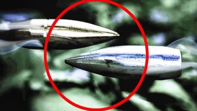 7 melhores tiros de snipers da história 10