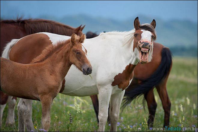 27 fotos que diz muito mais do que simples palavras 7