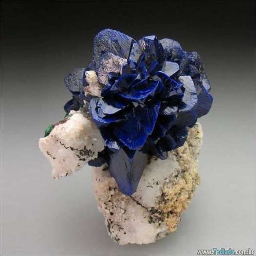 27 fotos que diz muito mais do que simples palavras 16