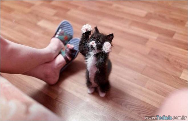 27 fotos que diz muito mais do que simples palavras 17