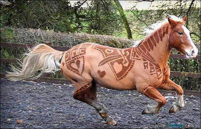 27 fotos que diz muito mais do que simples palavras 27