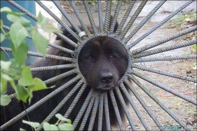 Quando a foto diz muito mais do que palavras (33 fotos) 2