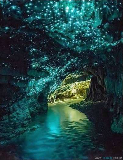 Quando a foto diz muito mais do que palavras (33 fotos) 3