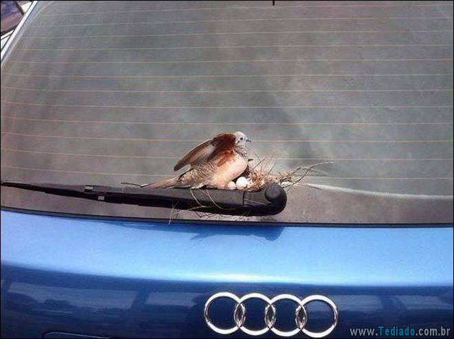 Quando a foto diz muito mais do que palavras (33 fotos) 4