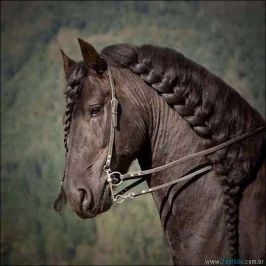 Quando a foto diz muito mais do que palavras (33 fotos) 11