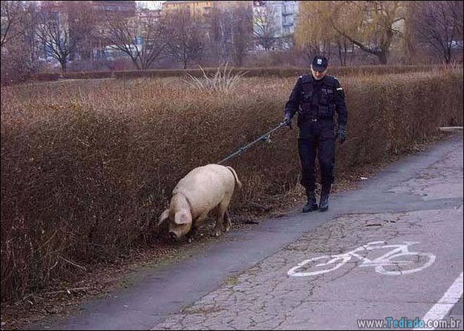 Quando a foto diz muito mais do que palavras (33 fotos) 18