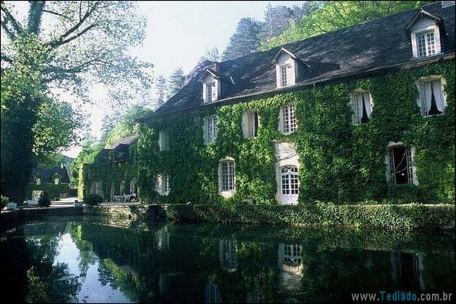 Quando a foto diz muito mais do que palavras (33 fotos) 20