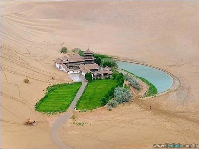 Quando a foto diz muito mais do que palavras (33 fotos) 21