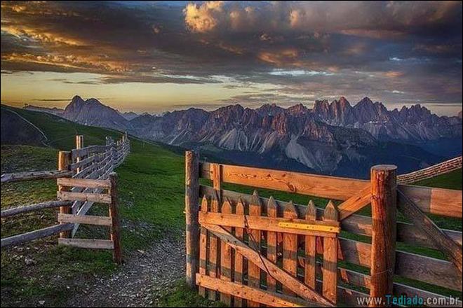 Quando a foto diz muito mais do que palavras (33 fotos) 23