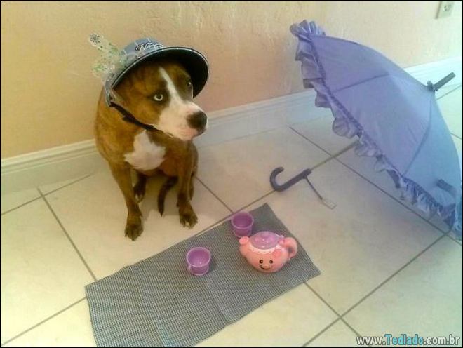 25 razões pelas quais você não deve deixar seus animais com crianças 2