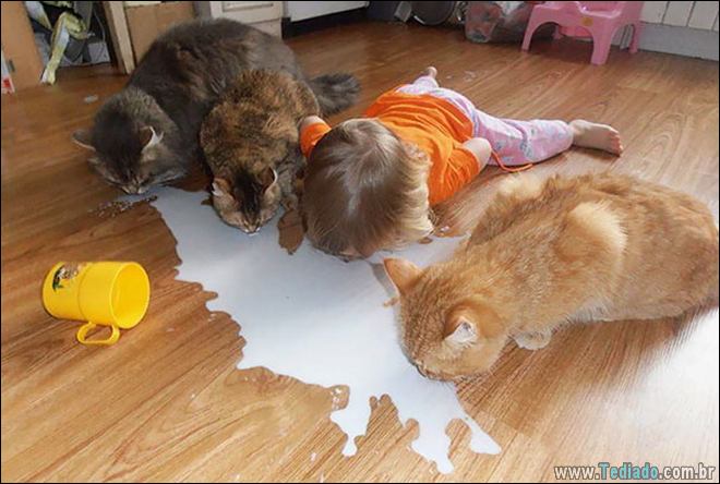 25 razões pelas quais você não deve deixar seus animais com crianças 14