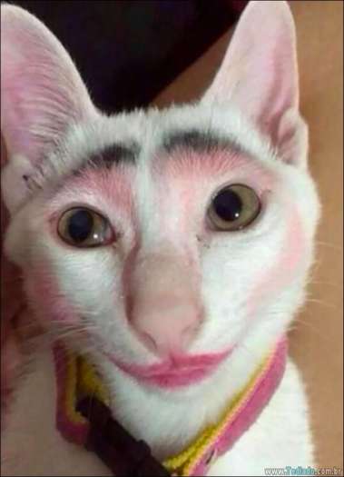 25 razões pelas quais você não deve deixar seus animais com crianças 18