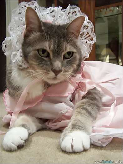 25 razões pelas quais você não deve deixar seus animais com crianças 20