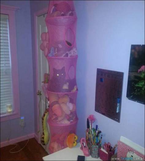 Algo está muito errado aqui (28 fotos) 5