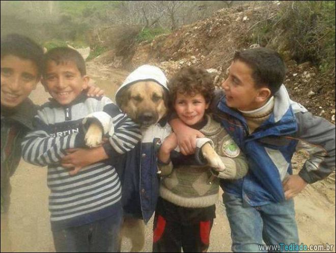 Algo está muito errado aqui (28 fotos) 15