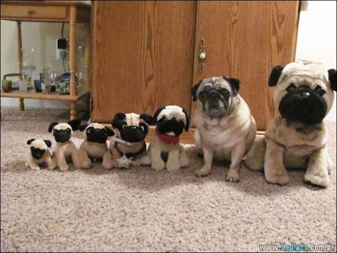 Algo está muito errado aqui (28 fotos) 21