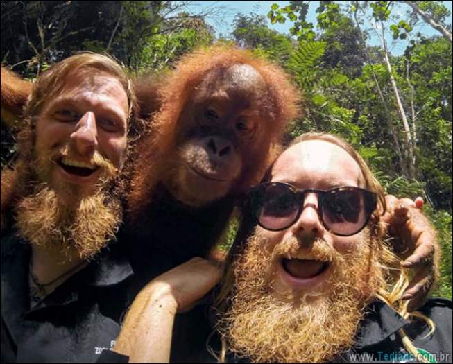 Algo está muito errado aqui (28 fotos) 26