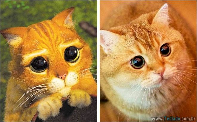 14 animais que são cópias exatas dos nossos personagens animados favoritos 1