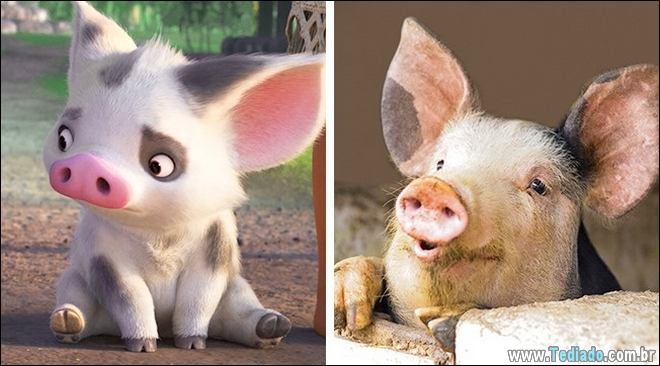 14 animais que são cópias exatas dos nossos personagens animados favoritos 6