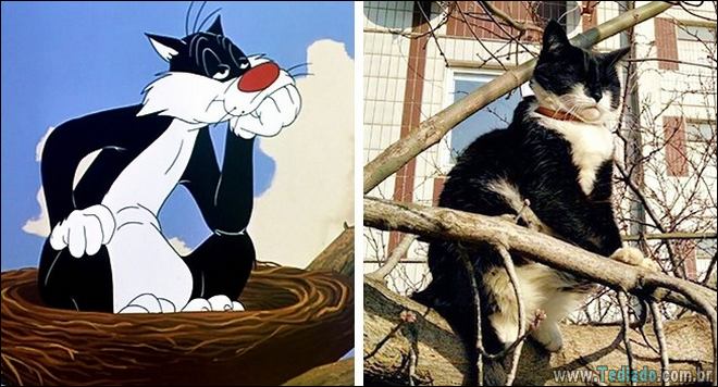 14 animais que são cópias exatas dos nossos personagens animados favoritos 8