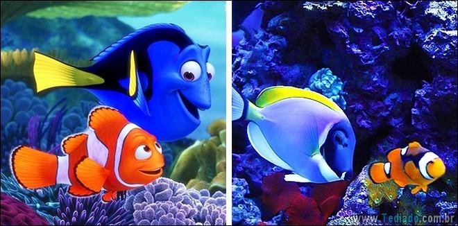 14 animais que são cópias exatas dos nossos personagens animados favoritos 10