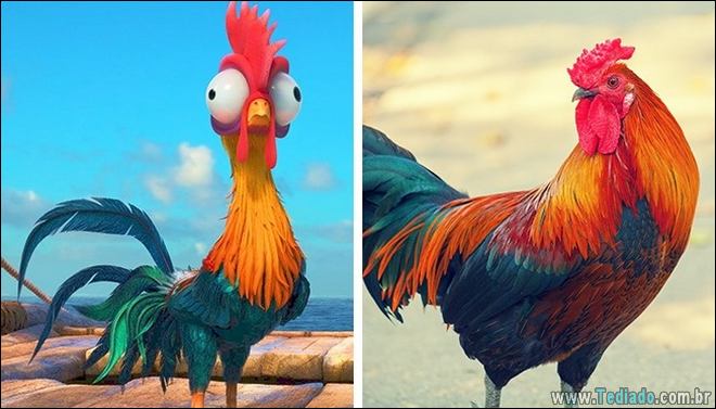 14 animais que são cópias exatas dos nossos personagens animados favoritos 11