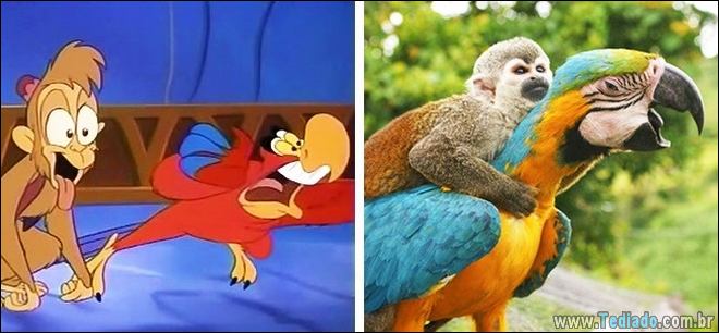 14 animais que são cópias exatas dos nossos personagens animados favoritos 12