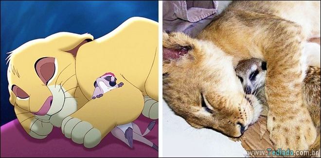 14 animais que são cópias exatas dos nossos personagens animados favoritos 13