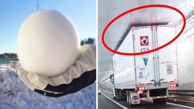 17 coisas são tão perfeitas que até assustam 39