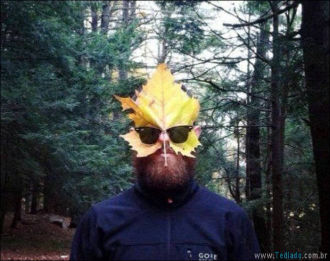 Coisas que você só vê no Canadá (21 fotos) 2