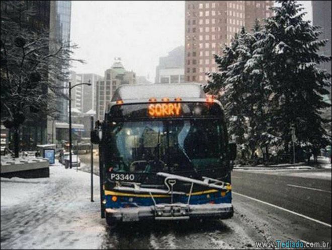 Coisas que você só vê no Canadá (21 fotos) 4