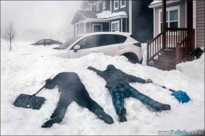 Coisas que você só vê no Canadá (21 fotos) 6