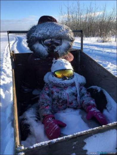 Coisas que você só vê no Canadá (21 fotos) 10