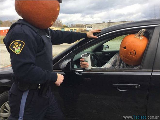 Coisas que você só vê no Canadá (21 fotos) 20