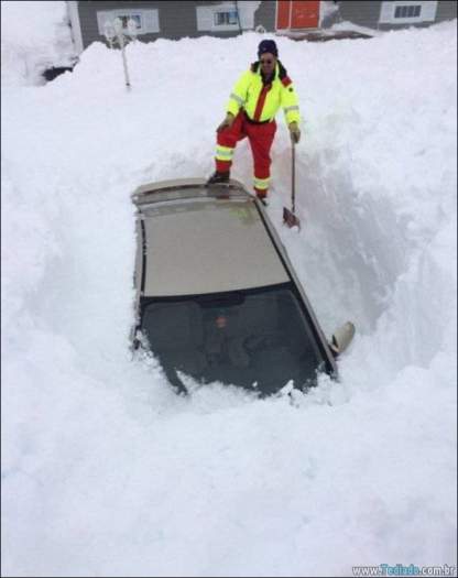 Coisas que você só vê no Canadá (21 fotos) 21