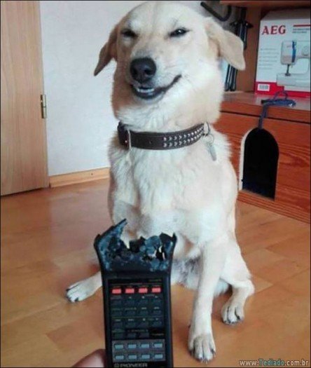 Coisas ruins acontecem com todo mundo (22 fotos) 20