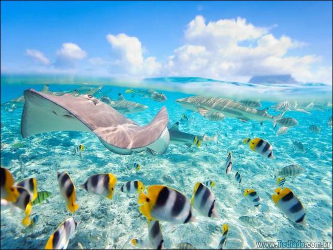 É mais do que apenas uma foto (41 fotos) 4