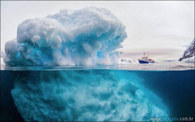 É mais do que apenas uma foto (41 fotos) 8