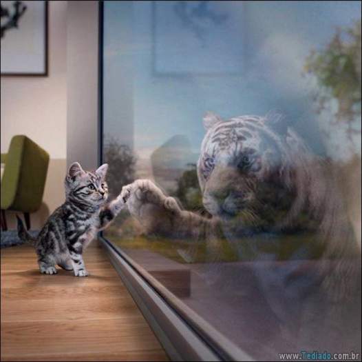 É mais do que apenas uma foto (41 fotos) 17