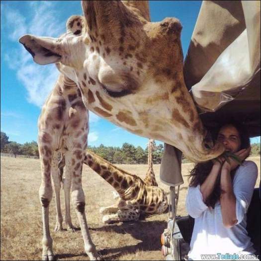 É mais do que apenas uma foto (41 fotos) 24