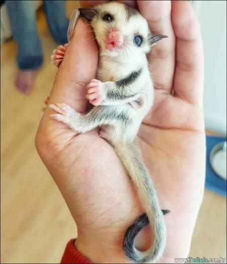 É mais do que apenas uma foto (41 fotos) 29