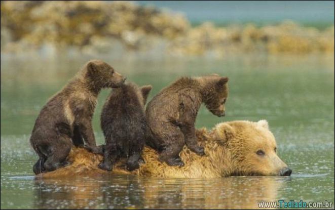 É mais do que apenas uma foto (41 fotos) 30