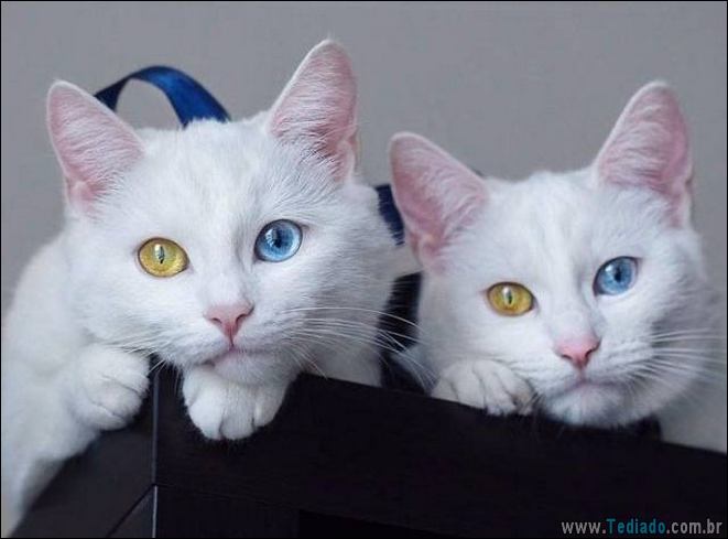 É mais do que apenas uma foto (41 fotos) 31