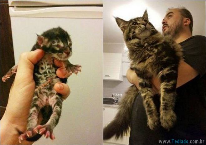 É mais do que apenas uma foto (41 fotos) 34