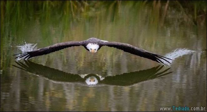 É mais do que apenas uma foto (41 fotos) 38