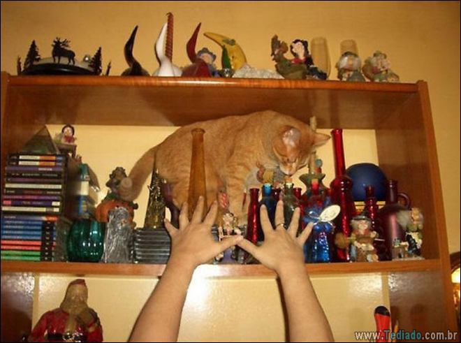 25 imagens de segundos antes de acontecer um desastres, que só de olhar você vai sentir dor 3