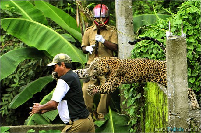 25 imagens de segundos antes de acontecer um desastres, que só de olhar você vai sentir dor 13